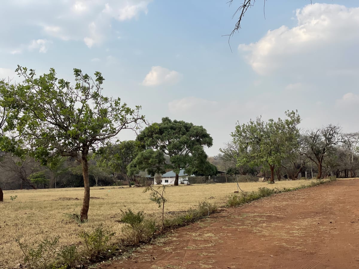 Open grounds at Camp Kobya