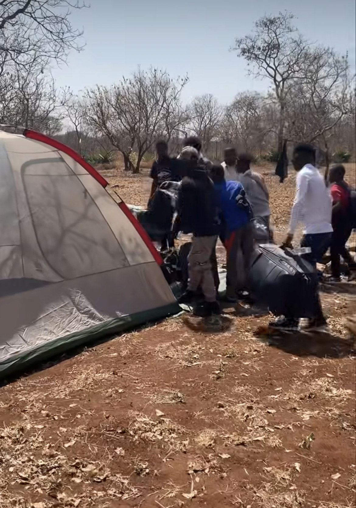 Campers setting up a tent among the trees at Camp Kobya